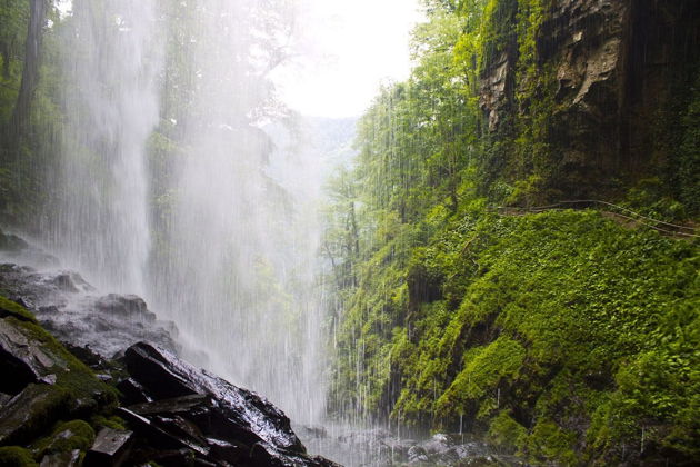Виды Вкус абхазской осени