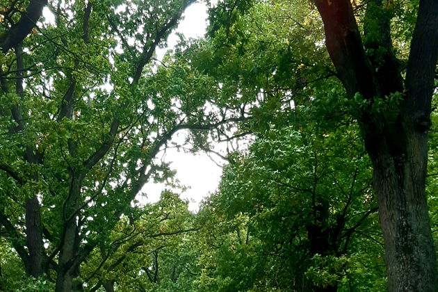 Виды Держим путь на восток. Удивительные истории малых городов. 