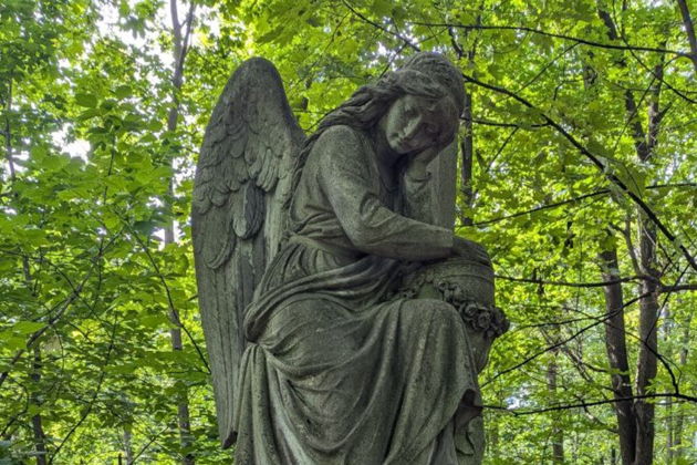 Виды Тени Введенского кладбища: история, судьбы и легенды — пешеходная экскурсия