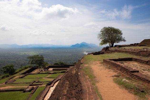 Главное изображение экскурсии - Львиная скала Сигирия и сафари со слонами в Миннерии