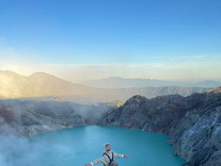 Парк бабочек