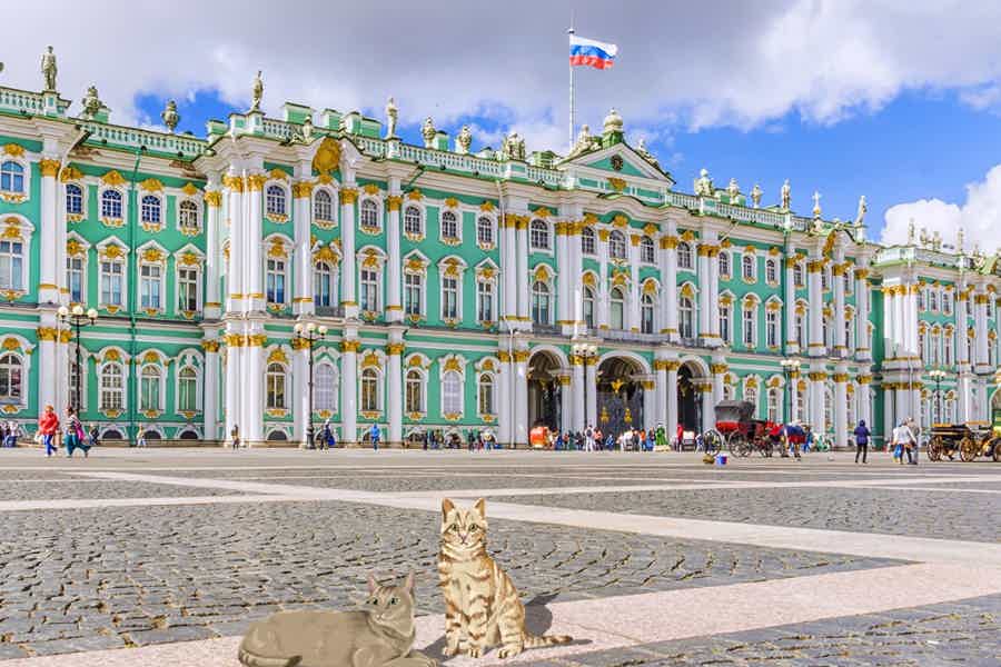 St. Petersburg Tour: Three major city squares - photo 1