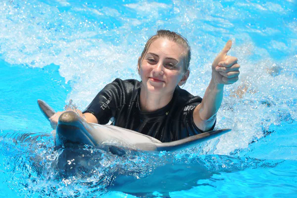 Swim with dolphin in pool 5 min — photo 3, Hurghada | Pokataem