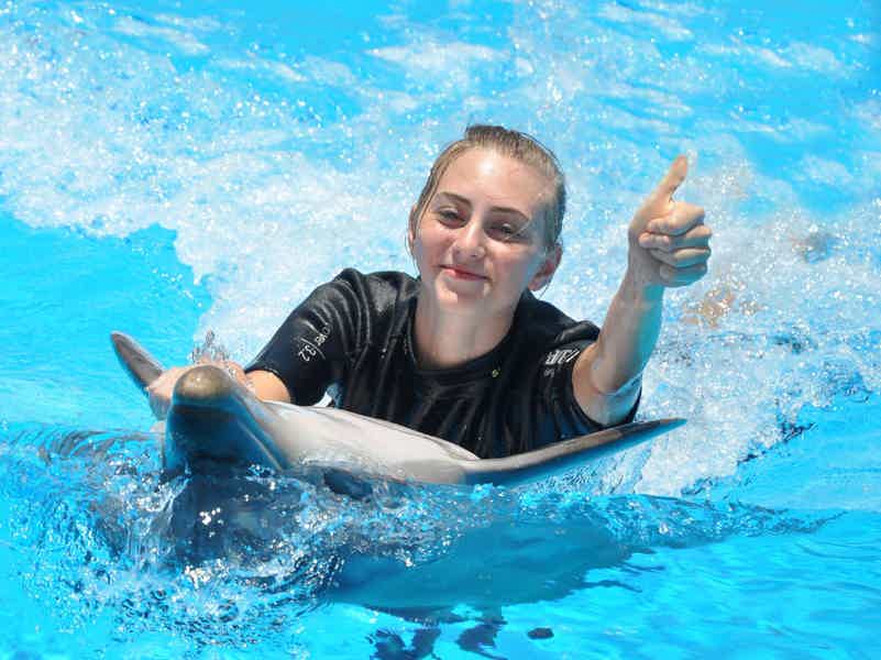 Плавание с дельфинами в бассейне 5 минут - фото 1