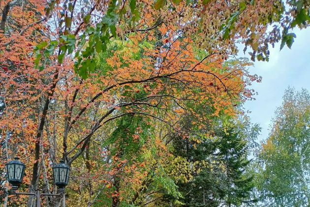 Виды «В горной долине — город любимый»