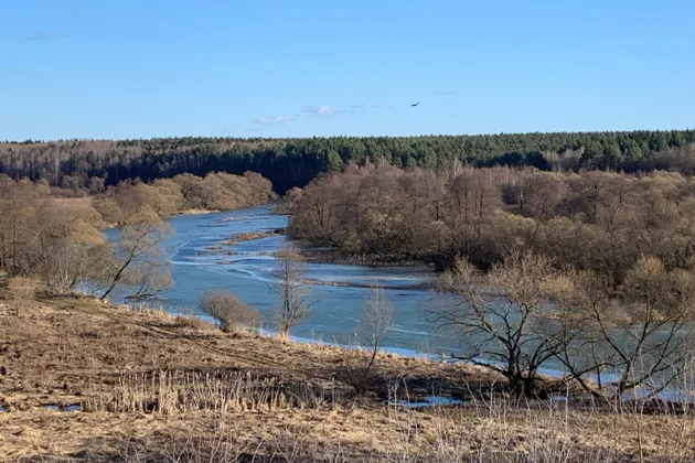 От Гончаровых до Щепочкиных. Усадьба Полотняный завод — фото 3