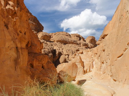 Белый каньон