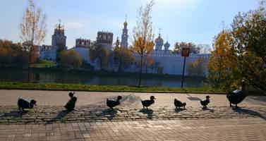 Экскурсия "Москва за 3 часа: обзорная на автобусе с прогулками" - фото отзыва 3