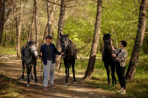 Прогулка на лошадях к озеру «Грек»