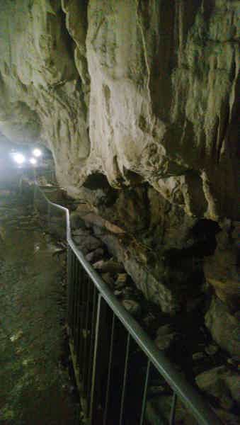 Путешествие к Воронцовским пещерам с посещением чайных плантаций - фото 5