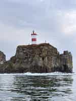 Экскурсия "Морское путешествие к островам Японского моря и морским котикам" - фото отзыва 4