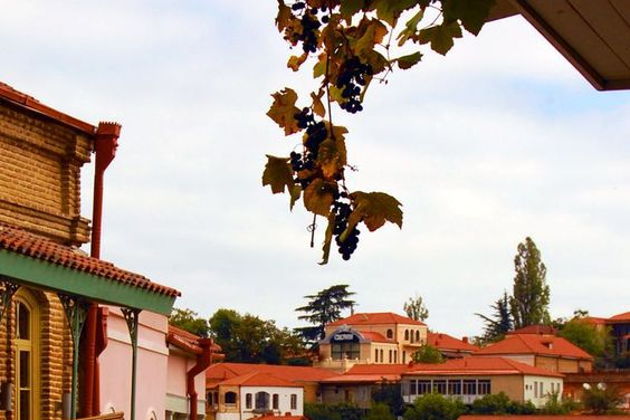 Виды Цинандали — история княжеского поместья и посещение Сигнаги с дегустацией