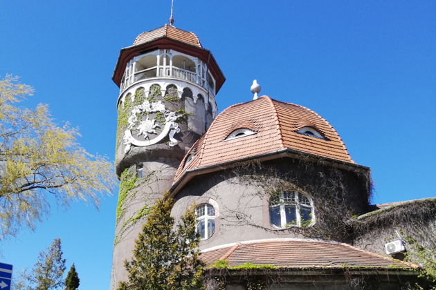 Виды Экскурсия 