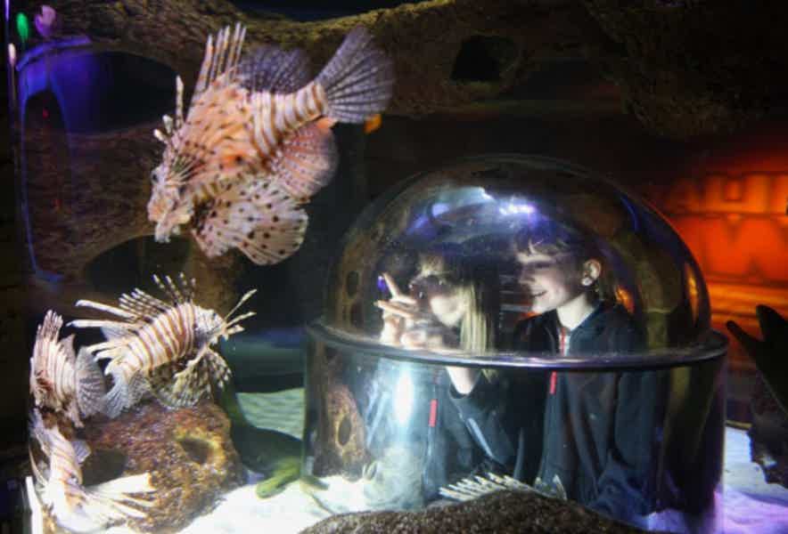 Входной билет в океанариум в Стамбуле - фото 3