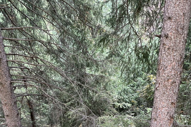 Виды Горячие источники Алмарасан и водопад Аюсай — тур из Алматы