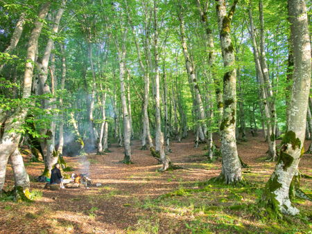 Национальный парк