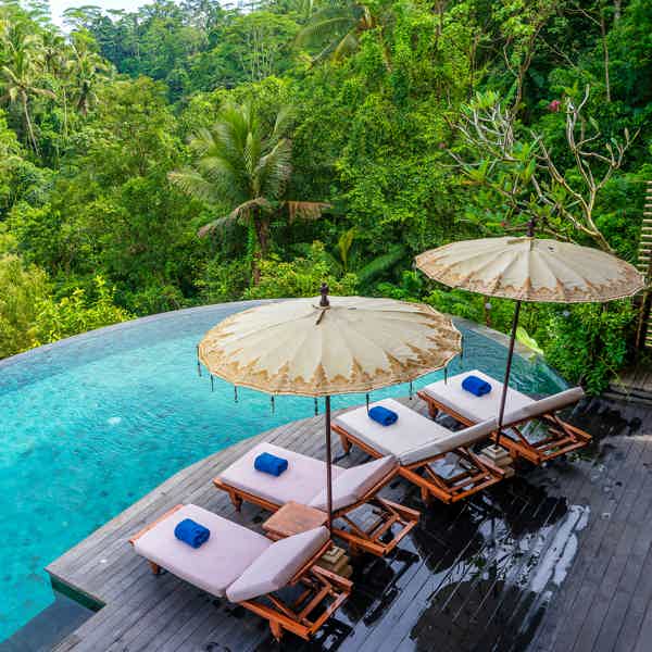 The Jungle Club Ubud — отдых среди джунглей и панорамных видов - фото 3