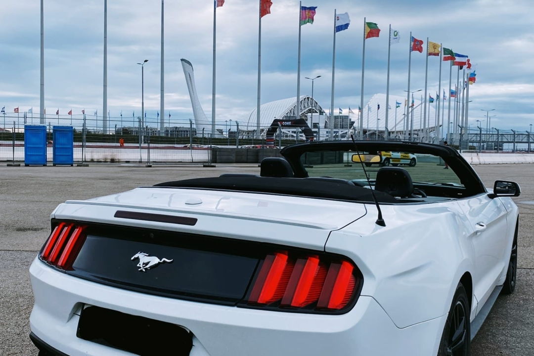 Горный драйв: на кабриолете Ford Mustang по Сочи и курортам Красной Поляны — фото 8