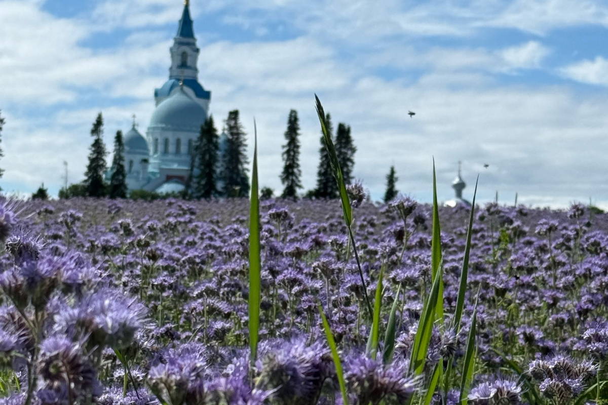 Путешествие на Валаам и к Ладожским шхерам на катере