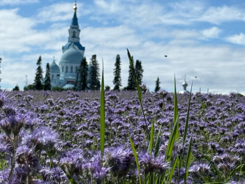 Путешествие на Валаам и к Ладожским шхерам на катере