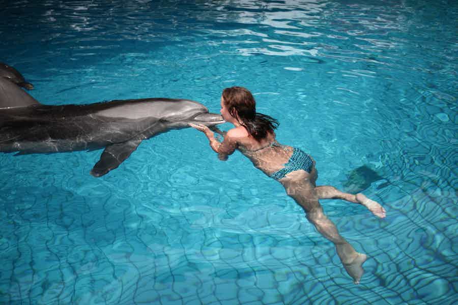 Плавание с дельфинами в Анталии - фото 4