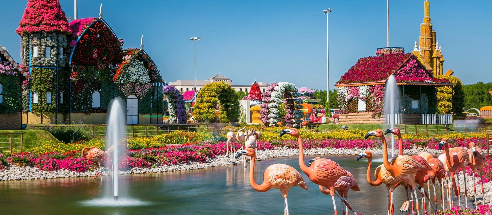 Парк цветов Miracle Garden и всемирная ярмарка Global Village из Фуджейры — экскурсия, Фуджейра, ОАЭ | Покатаем