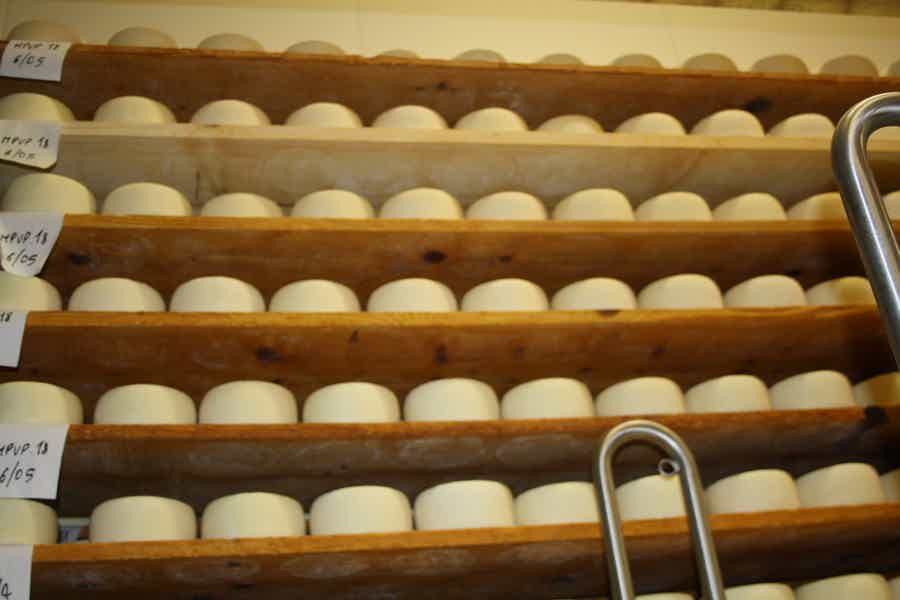 Дегустация сыров и визит на производство‏ - фото 3