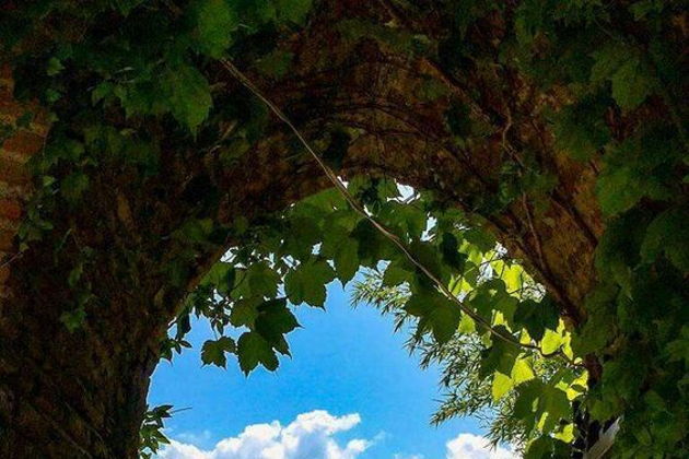 Виды Цинандали — история княжеского поместья и посещение Сигнаги с дегустацией