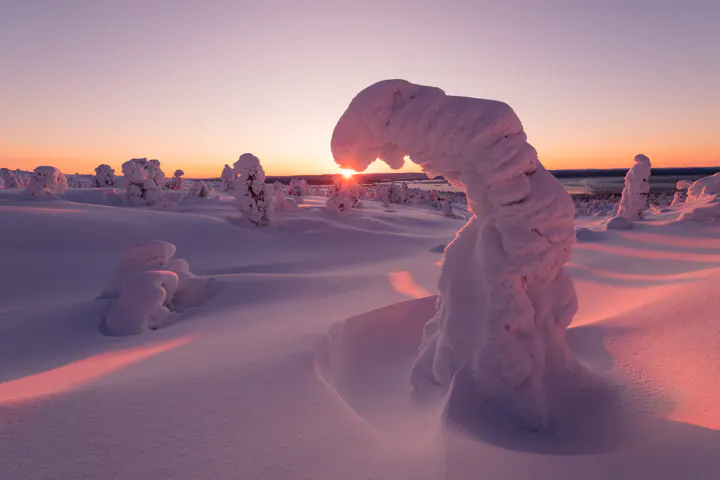 Белое море