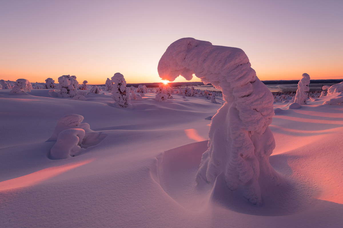 Белое море