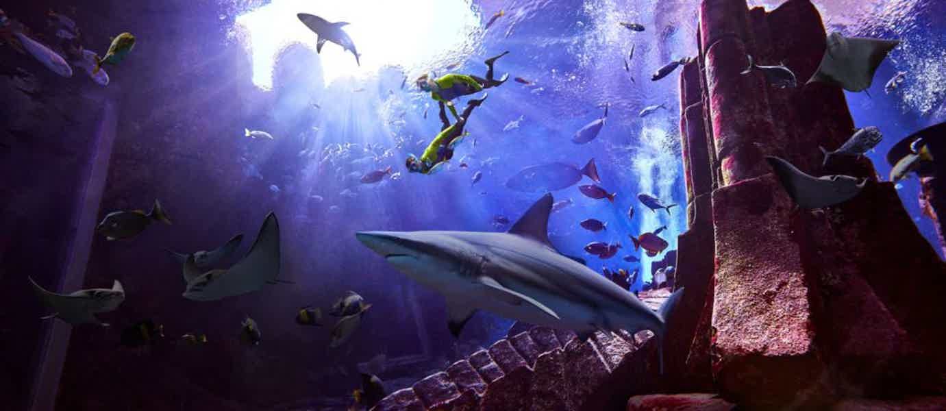 Подводное плавание с маской в Aquarium Ultimate Atlantis - фото 2