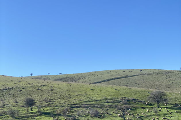 Виды Агатовые горы, розовое озеро, мистическая гора Бешбармаг и дегустация черной икры