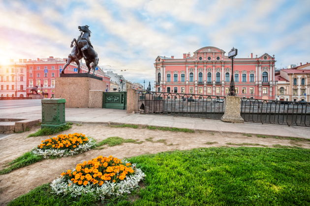 Фото к экскурсии «Дворцы петербургской знати» с посещением Владимирского дворца