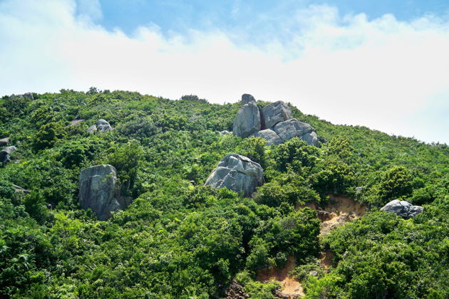 Поездка на Остров обезьян - приключение для всей семьи