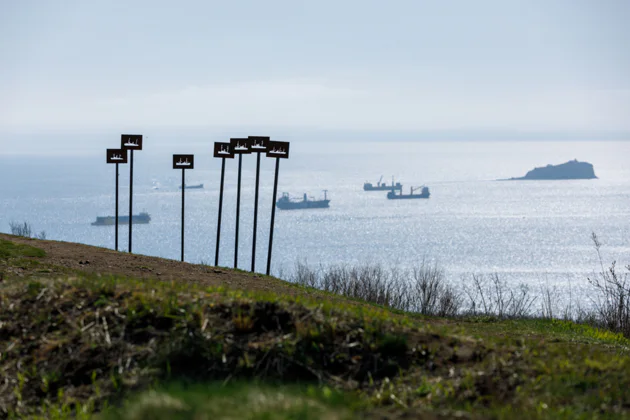 Мореферма, форты, батареи и мысы Русского острова — экскурсия, Владивосток | Покатаем