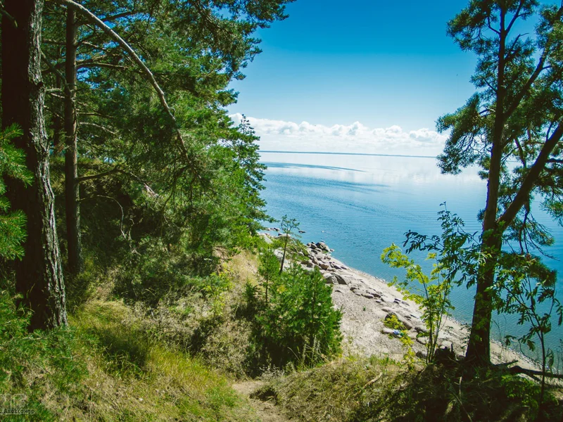 Талабские острова и путешествие на Псковское море — фото 5, Псков | Покатаем