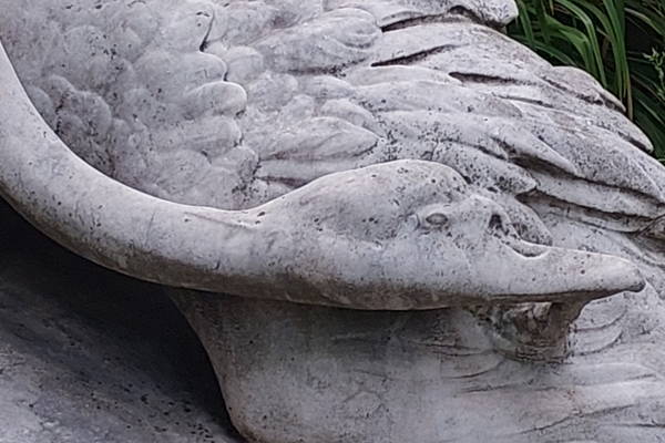 Обзорная прогулка по Новодевичьему кладбищу