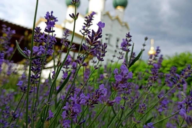 Экскурсия в Ростов Великий из Ярославля