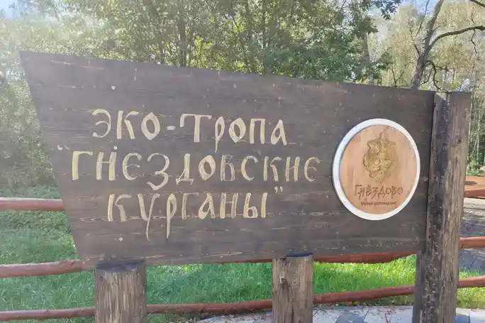 Мечи викингов в Гнёздове: тайны оружия и путь «из варяг в греки»
