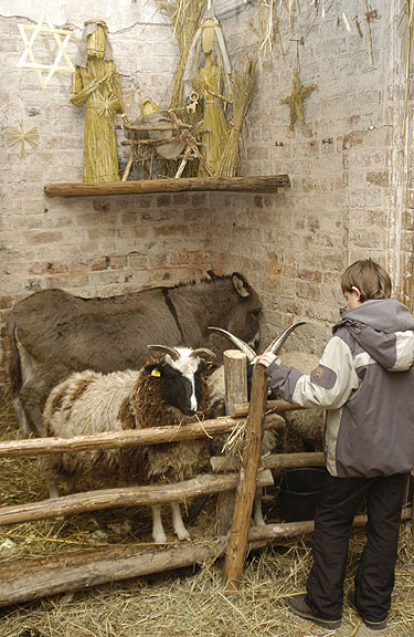 Новогодняя сказка Вильнюса-экскурсия для детей и взрослых. (4/7)