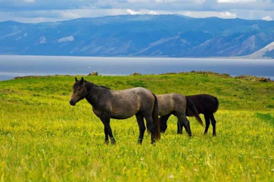 Вдоль берега Байкала — конная прогулка по Ольхону  - фото 1