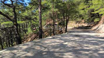 Экскурсия "Автомобильная обзорная экскурсия по Геленджику: знакомство с городом" - фото отзыва 1