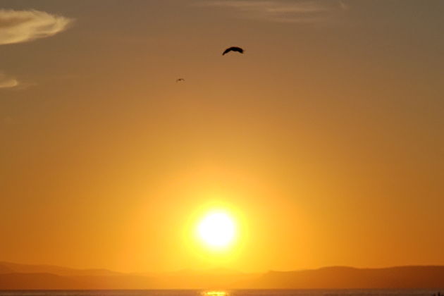 Виды Морская прогулка «Владивосток на закате солнца»