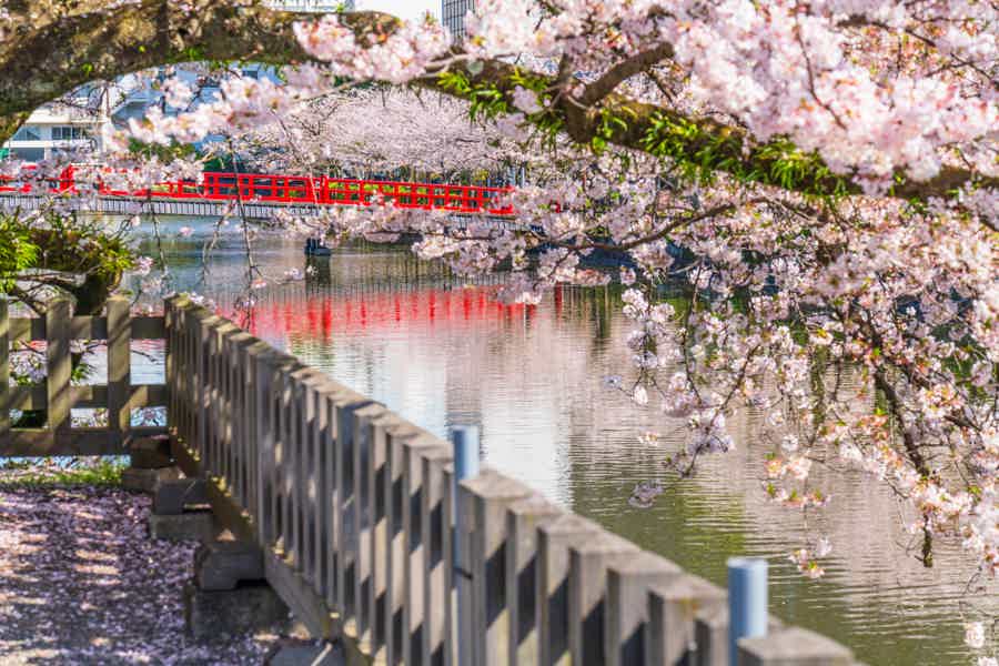 День у подножия Фудзиямы — замок Одавара и природа Хаконе - фото 1