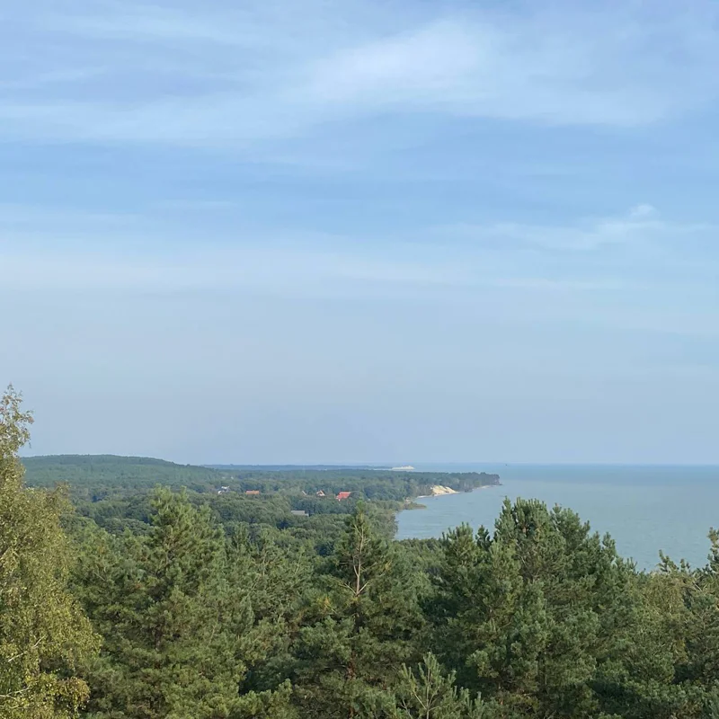 Экскурсия «Куршская коса»: Танцующий лес, Высота Эфа (дюна) — фото 7