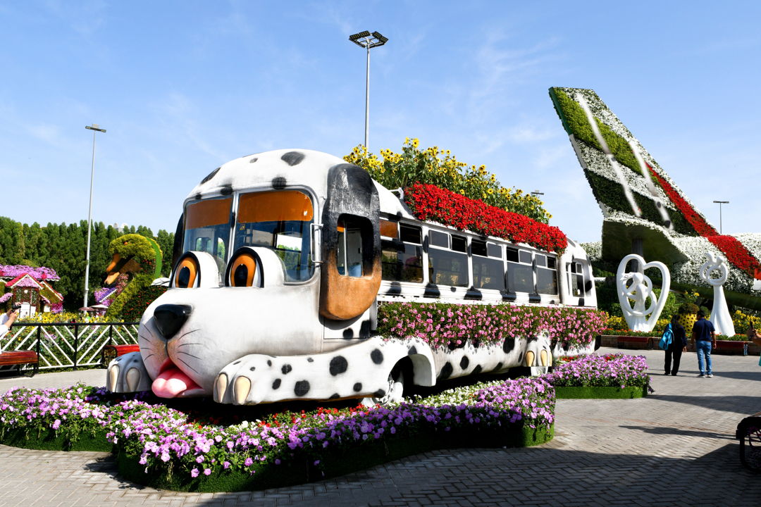 Парк цветов Miracle Garden: входной билет — фото 3