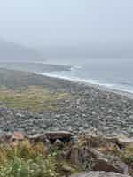Экскурсия "Териберка с выходом в Баренцево море" - фото отзыва 4