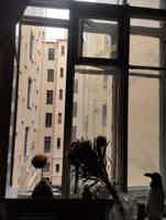 Экскурсия "Дворы и парадные Петербурга — шаг внутрь старого города" - фото отзыва 1