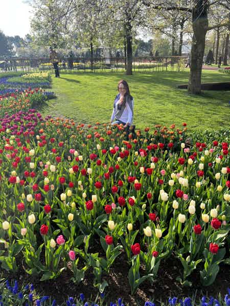 Из Амстердама в парк тюльпанов Кекенкоф - фото 22