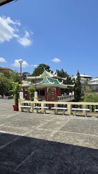 Знакомьтесь, Себу! - фото 6